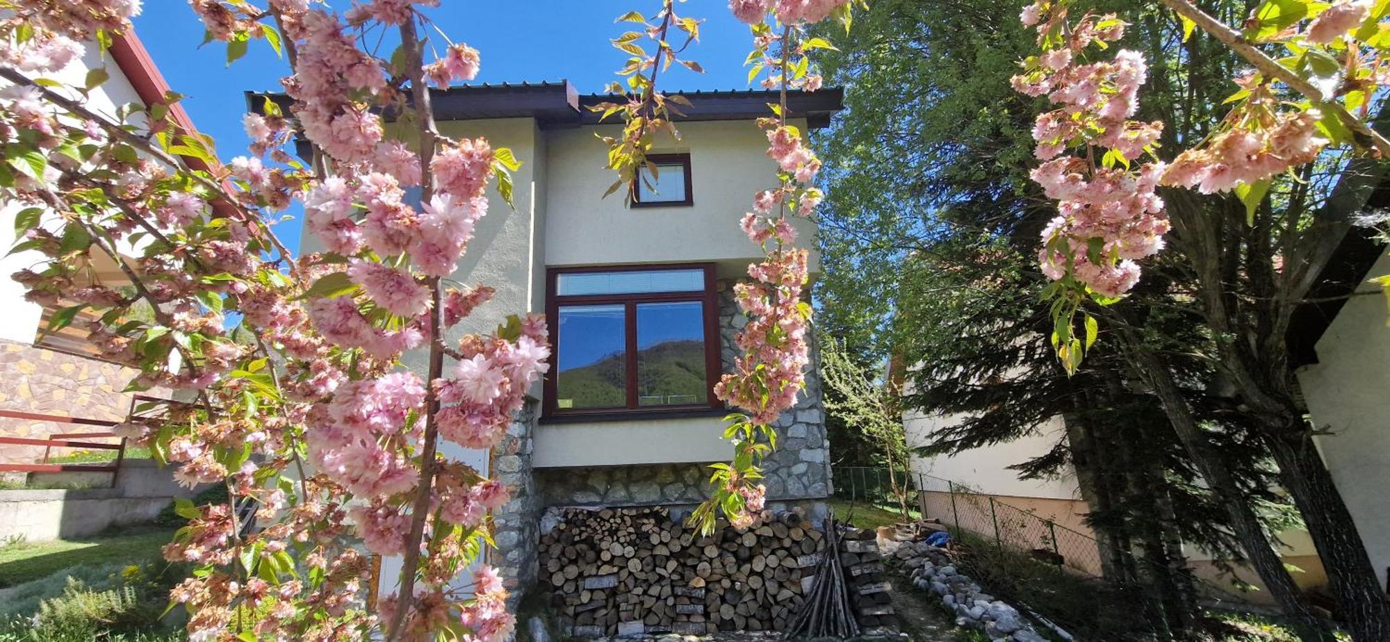 Chalet Mila Mavrovo Kültér fotó
