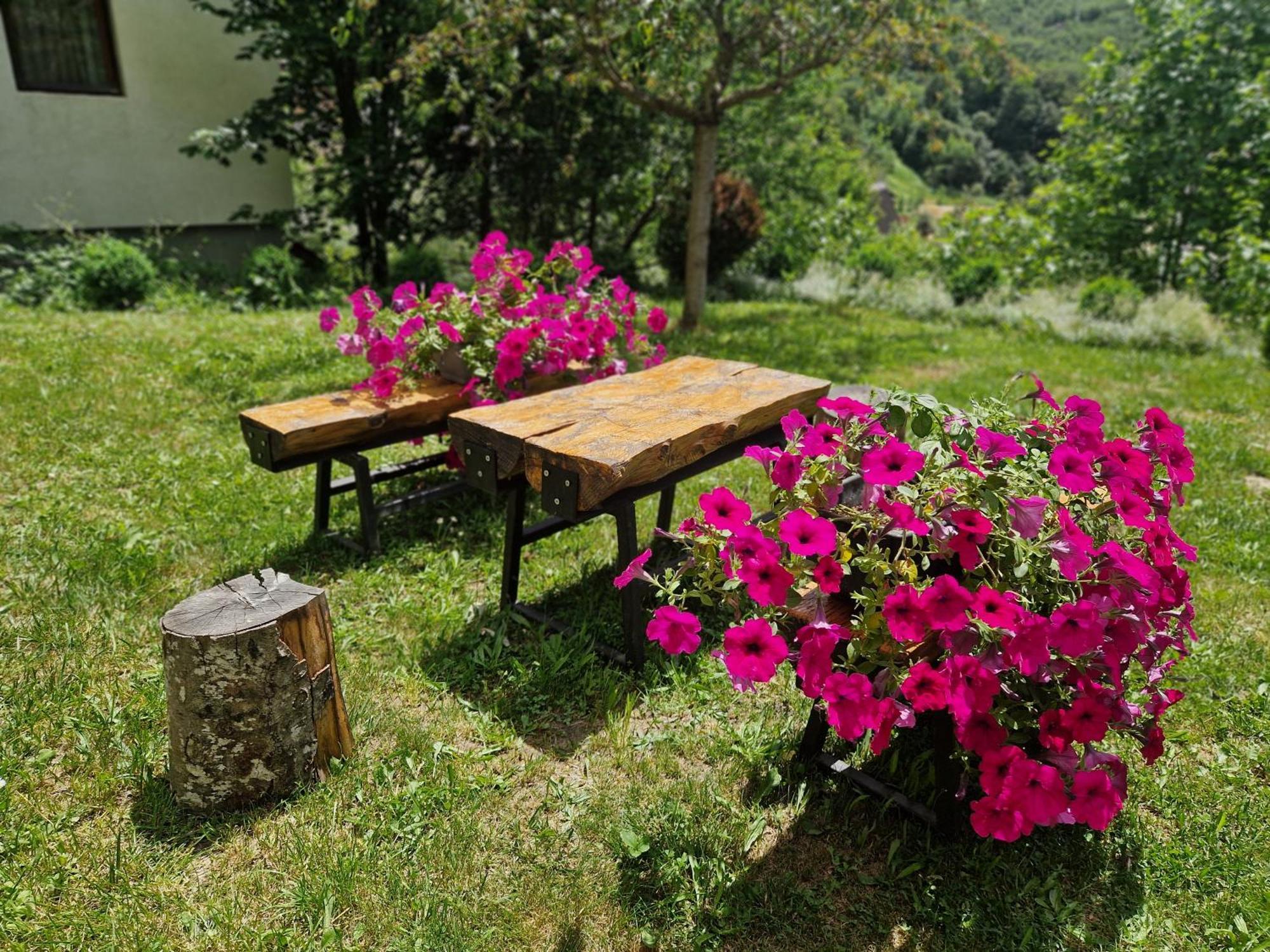 Chalet Mila Mavrovo Kültér fotó